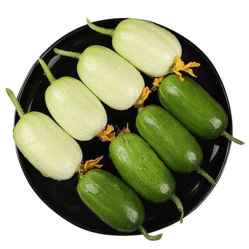 小秋瓜怎么吃才好吃呢视频,小秋瓜美味食法大揭秘