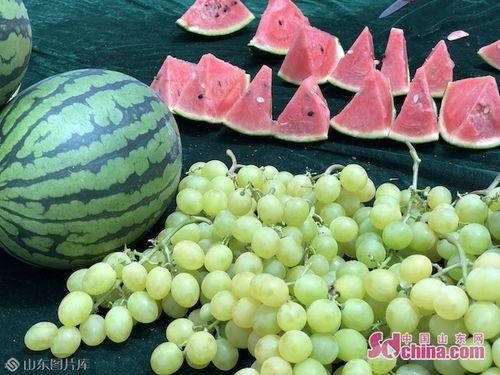 吃瓜视频笑果文化,吃瓜视频中的喜剧盛宴