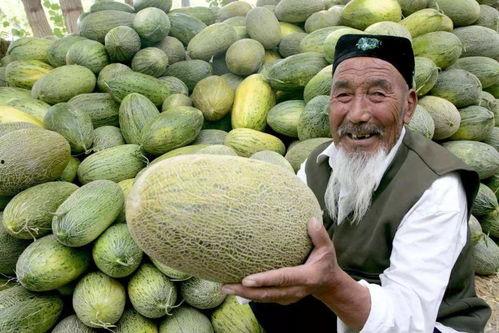 哈密瓜姑娘吃狗粮视频,狗粮视频引发网友热议