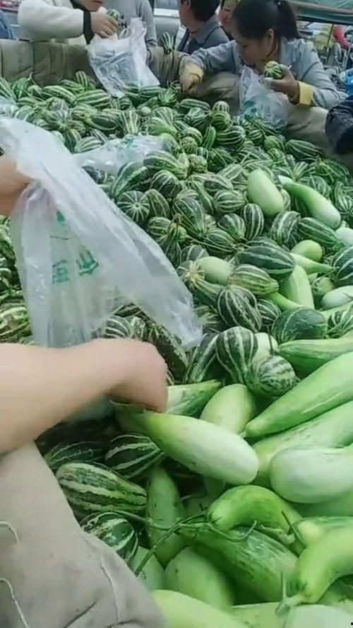 在哪里可以看到吃瓜视频,吃瓜视频的聚集地