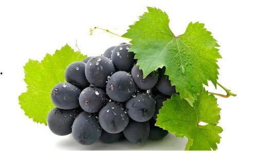 网红吃瓜葡萄视频在线观看,带你领略视觉盛宴