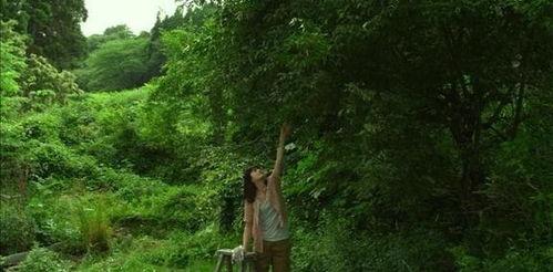 烟台小树林吃瓜事件视频,一场引发热议的网络视频风波