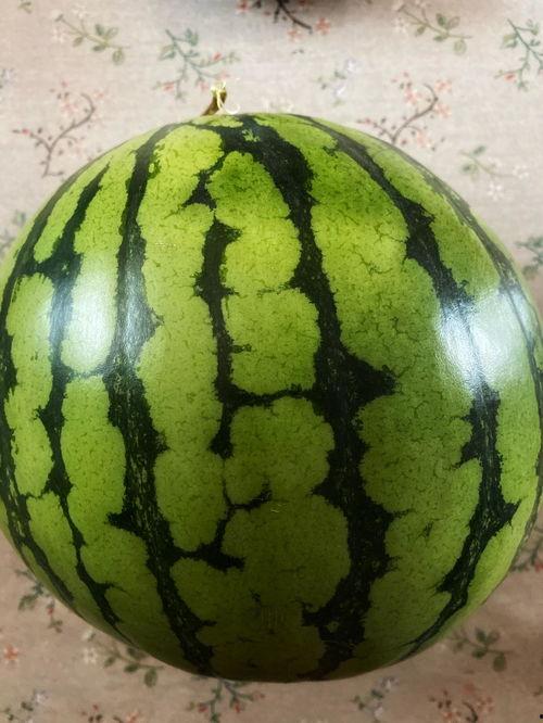 吃瓜现场表演视频大全,趣味横生的瞬间集锦