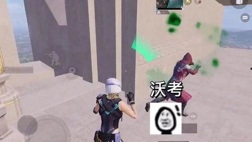 吃鸡瓜的小视频,揭秘游戏背后的趣味与智慧