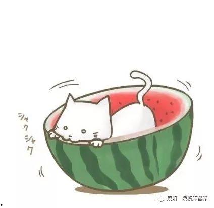 观众吃瓜动画视频大全,动画视频大全带你领略趣味无限