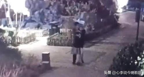 汶上吃瓜事件视频曝光,视频曝光揭示惊人真相