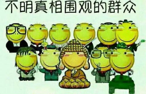 朝阳吃瓜群众经典视频,揭秘网络热传视频背后的故事